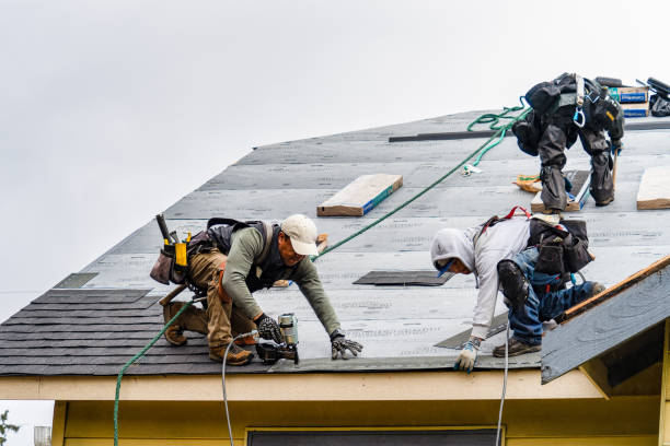 Professional Roof Installation technician working in Cross Plains, IN